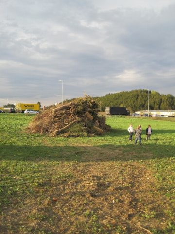 Walpurgisfeuer im Regnitztal