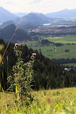 Sommercamp 2011
